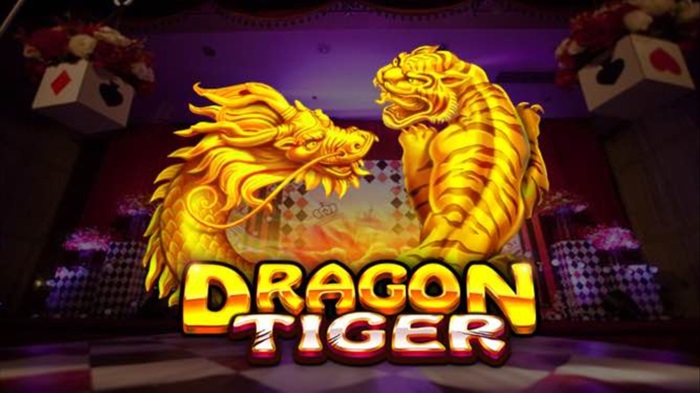 Dragon Tiger 6